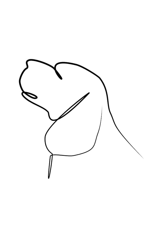 One line dog