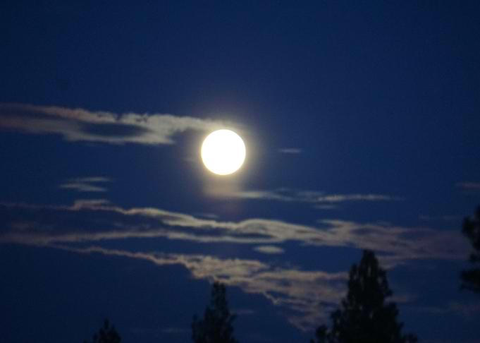 Full Luna