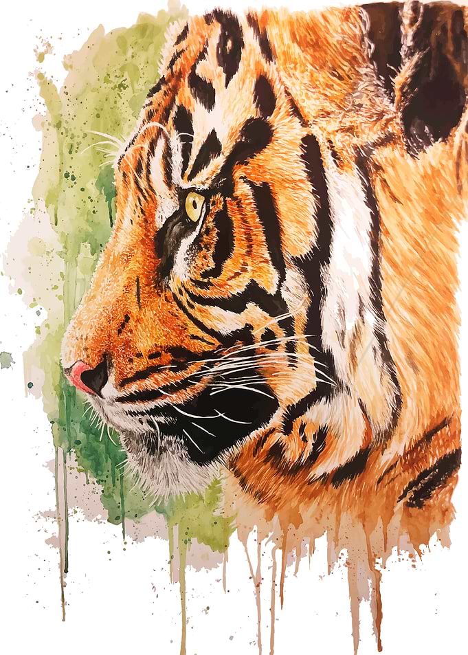Tiger tiger