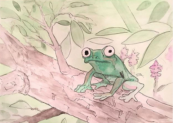 Tree Frog