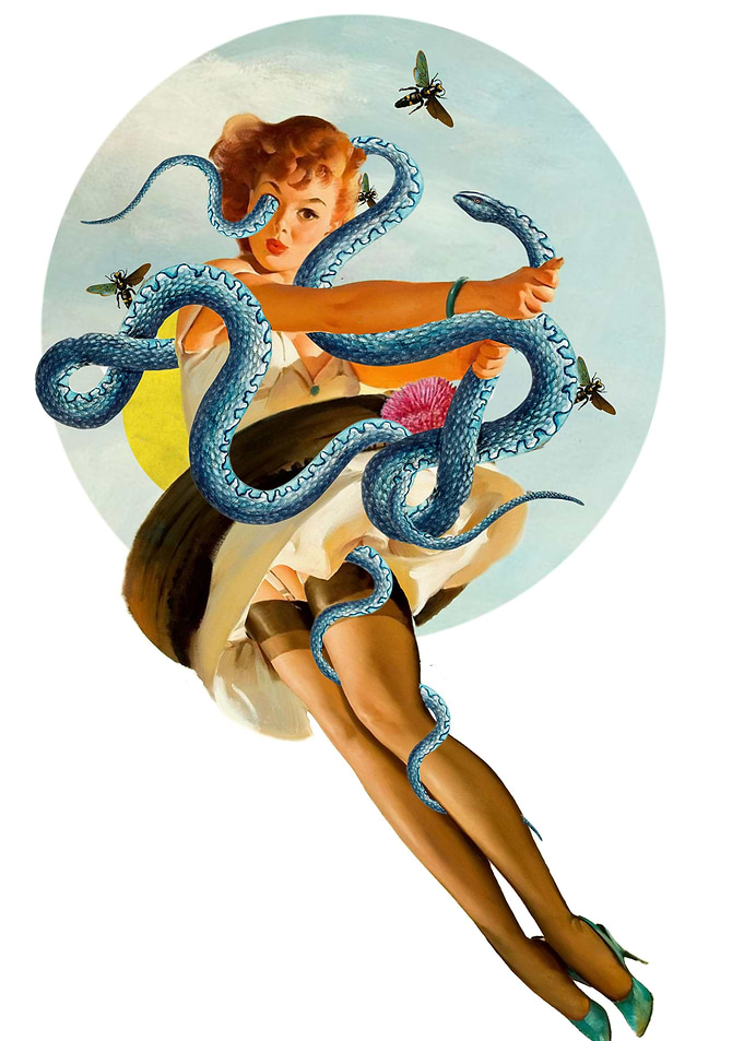 flying snake