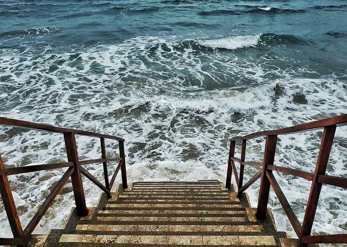 Ocean Beauty