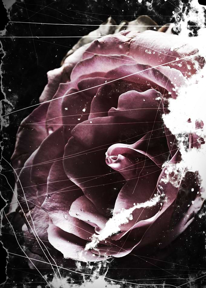 Faded flowers 2