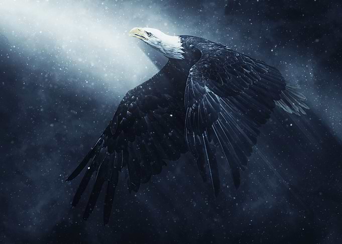 Eagle