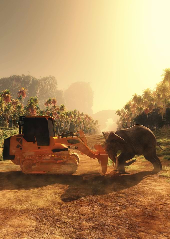 Humans vs nature