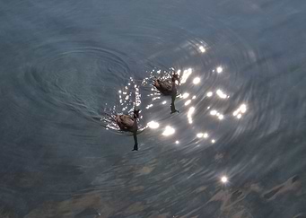 Together toward the light