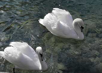 Togetherness