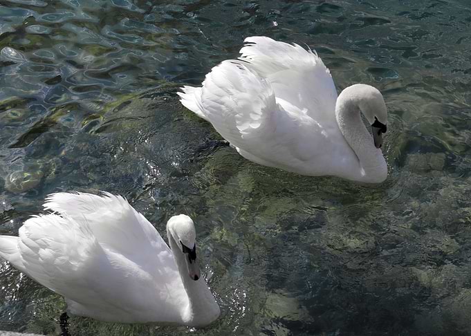 Togetherness