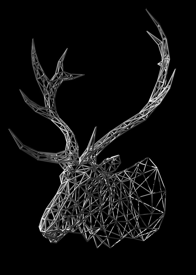Deer Wire Trophy