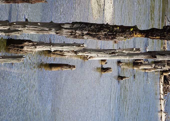 River Poles