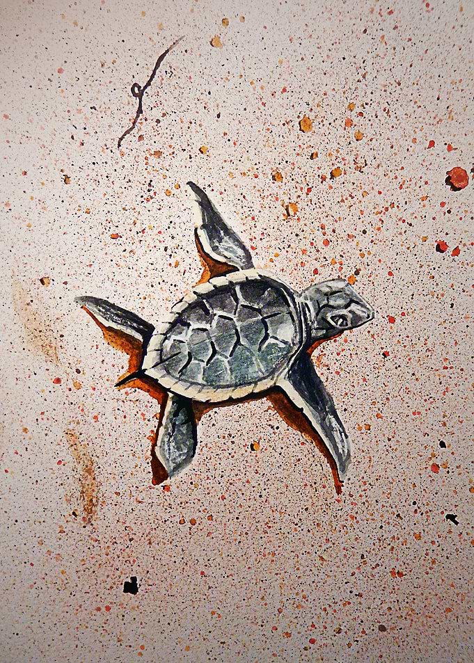 Little Turtle