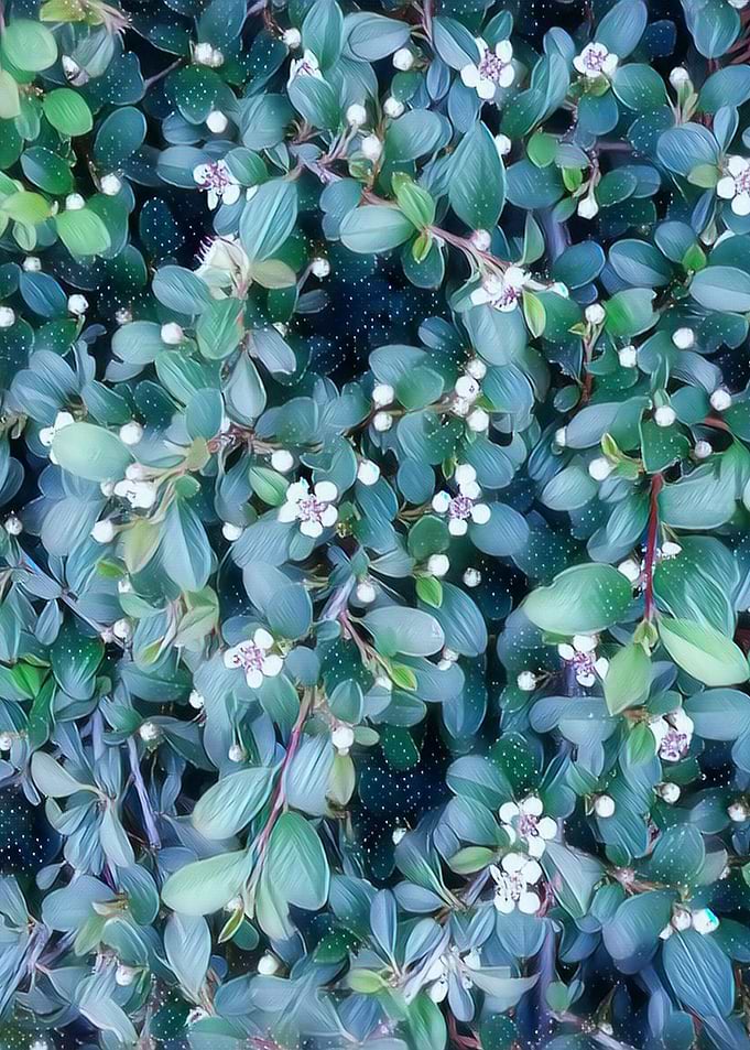 nice plant
