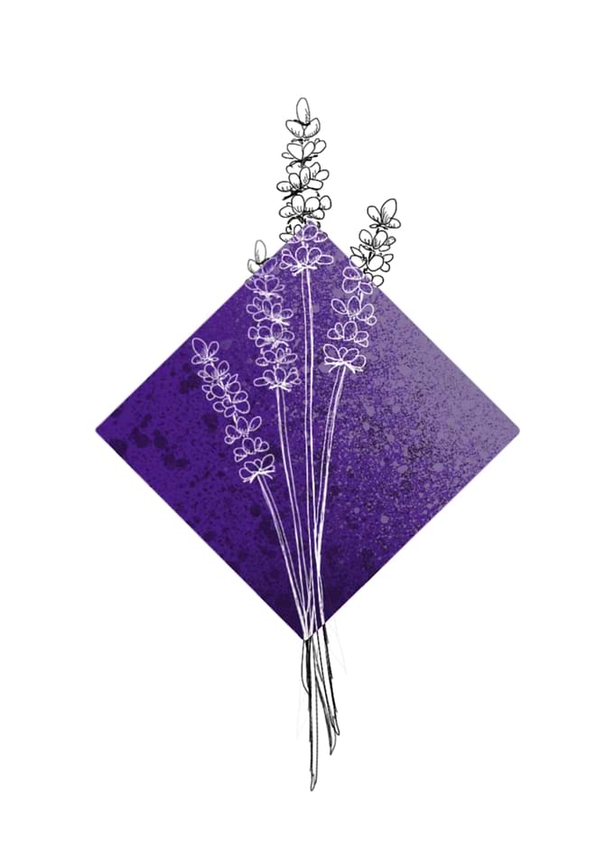 Lavender on Purple