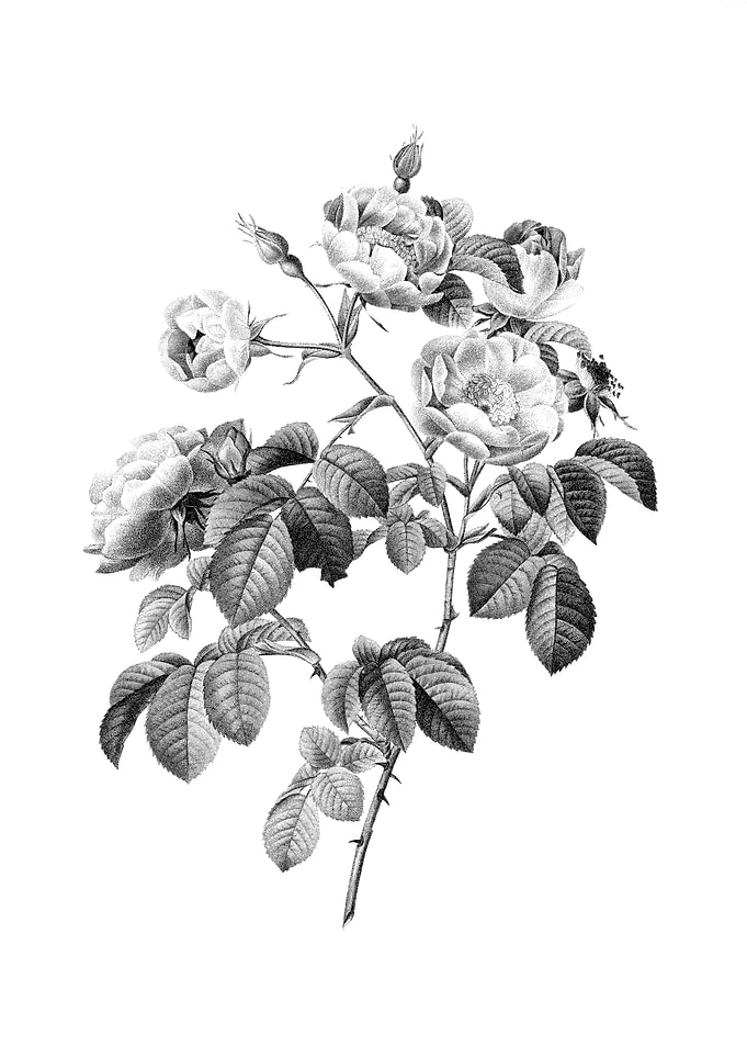 Vintage Engraved Floral