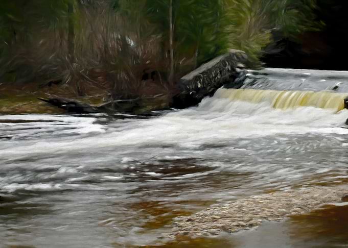 Trout River