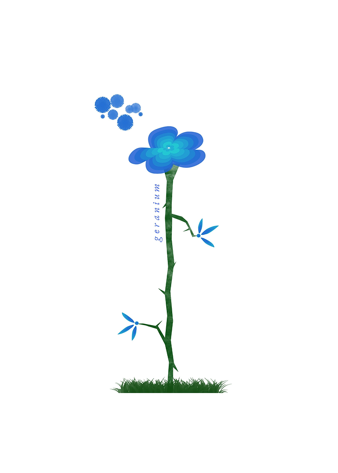 Blue Geranium