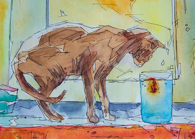 cat and fish
