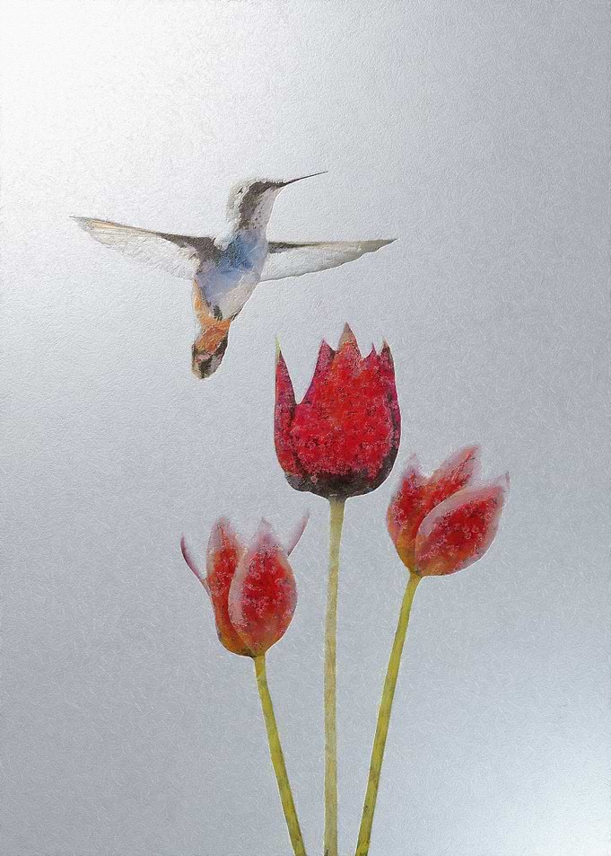 Hummingird