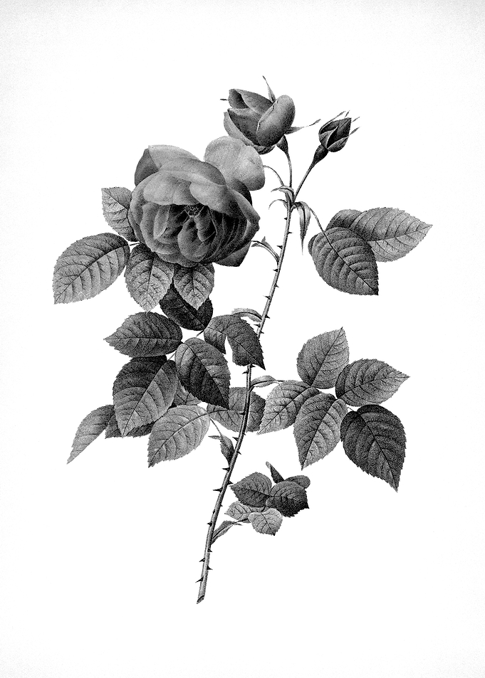 Vintage Engraved Flower
