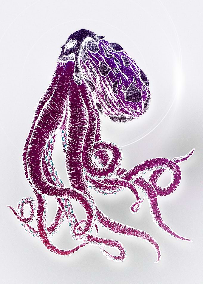 Skull octopus Purple