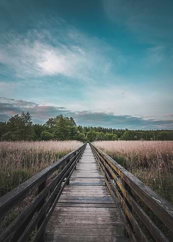 Follow your dream