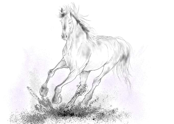 Wild horse