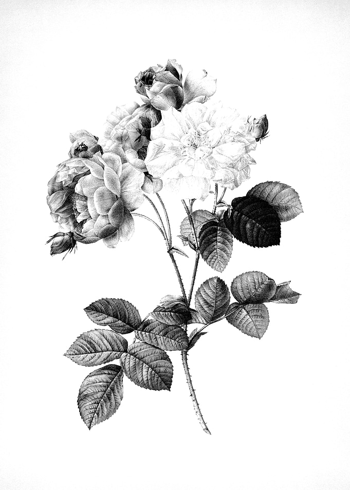 Vintage Engraved Flower