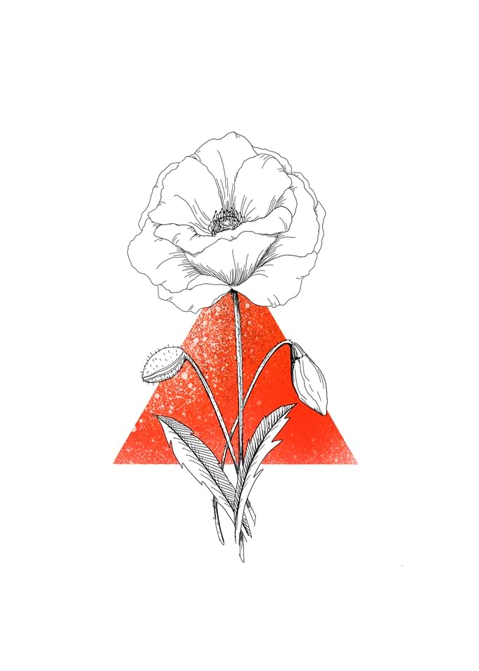 Poppy on Orange