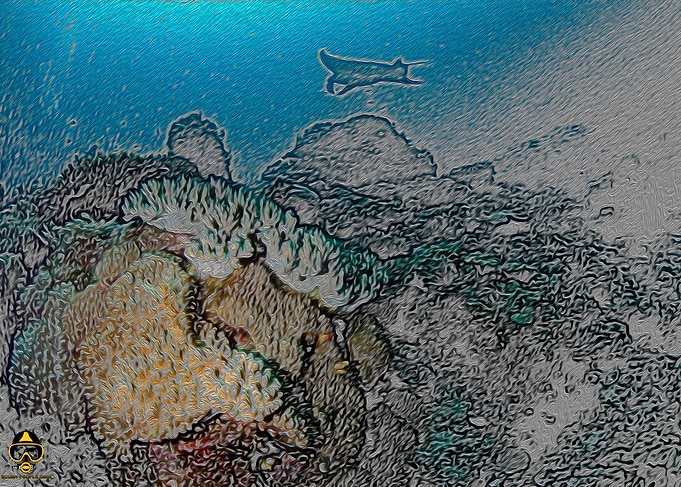 manta and reef aquarelle