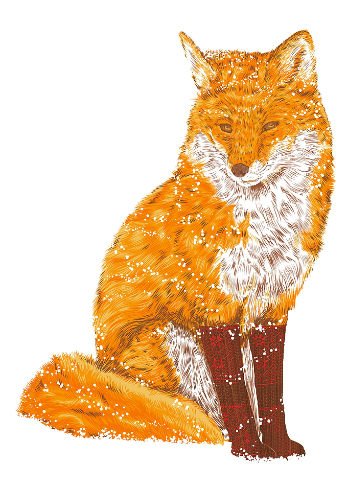 SNOW AND FOX EVER