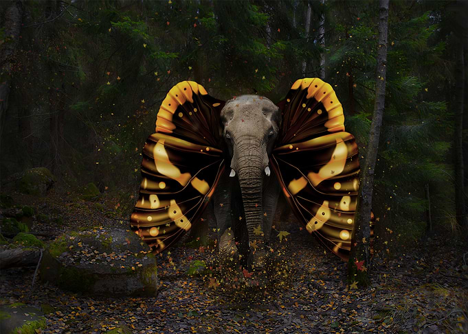 butterphant