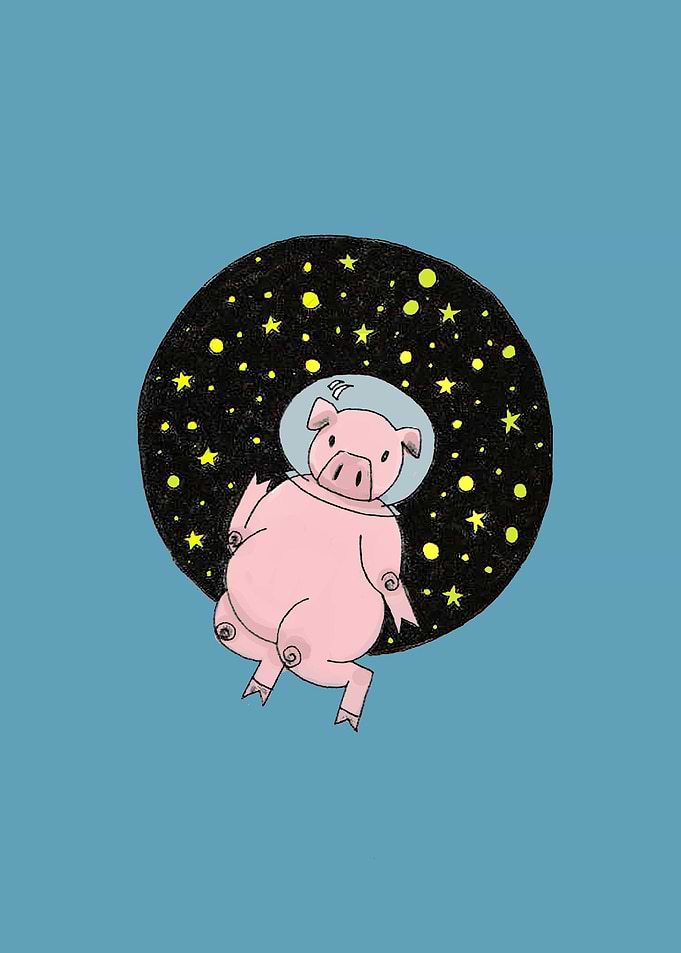 Space Pig
