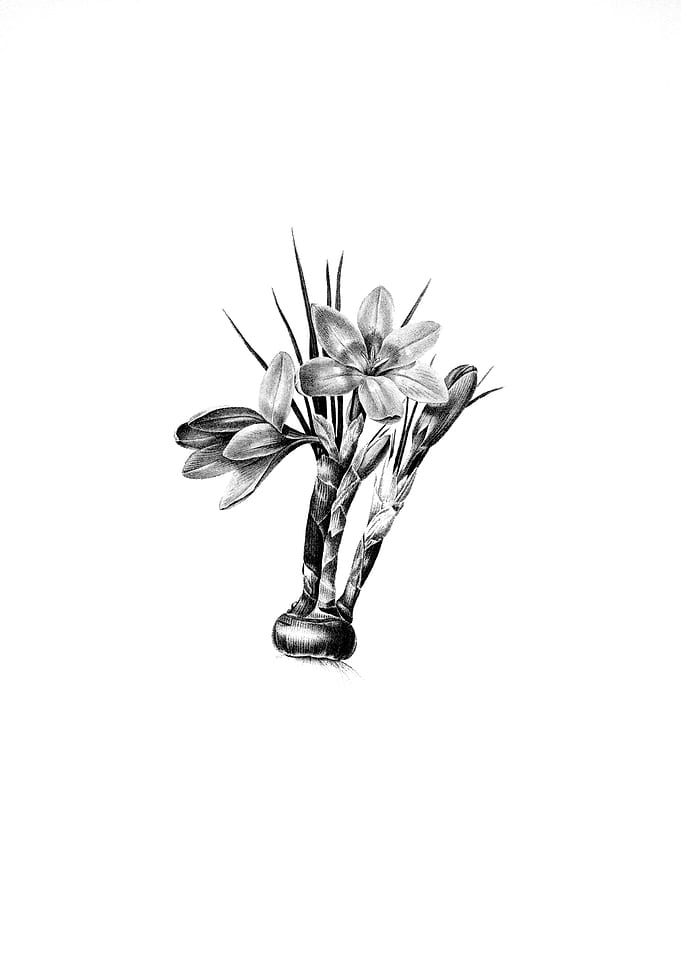Antique Engraved Floral