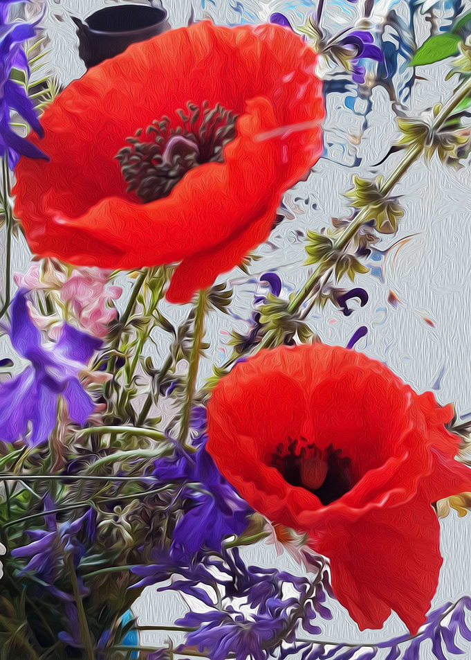 Poppy delight