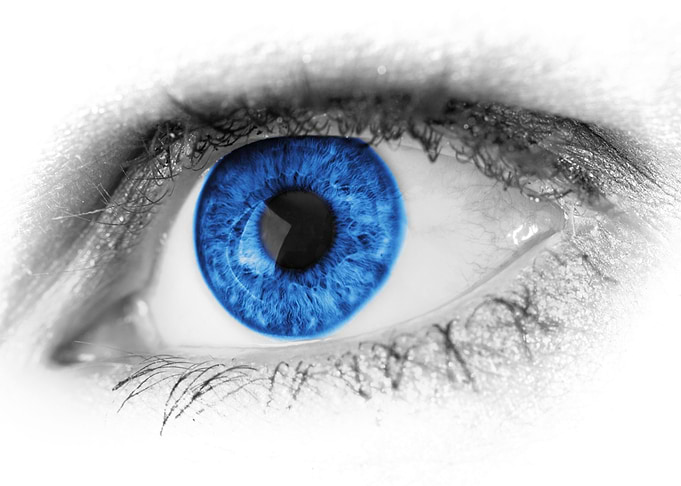 eye