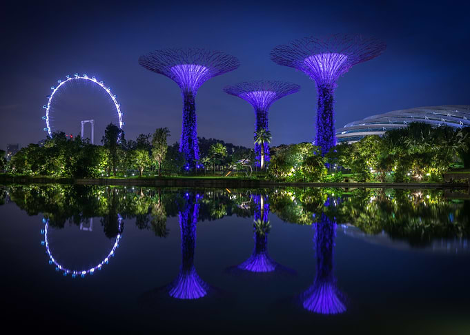 Gardens at Night