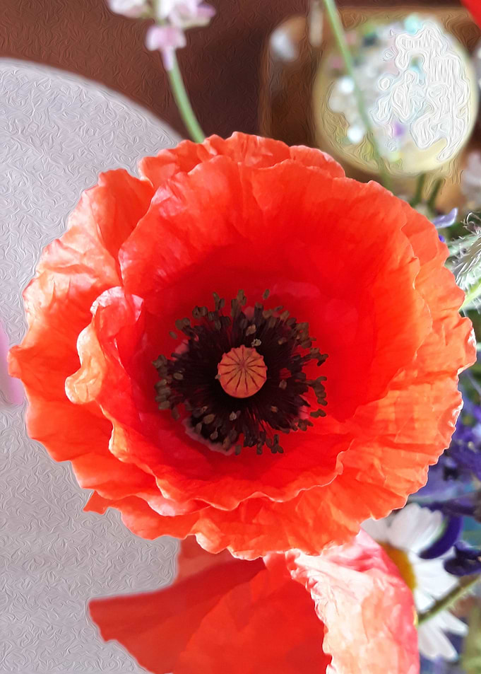 Poppy room