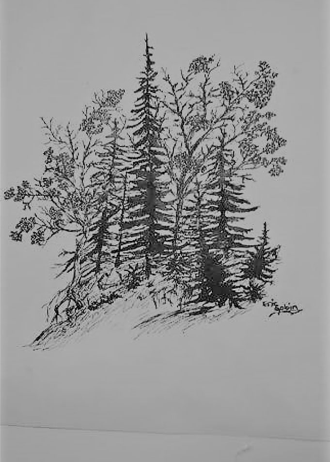 Forest of trees