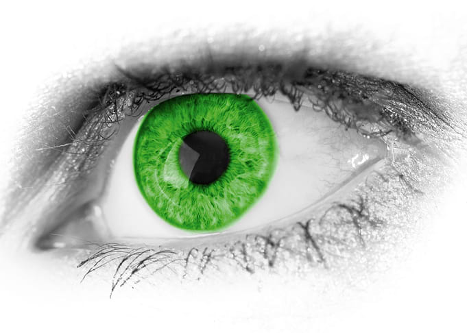 Eye Auge