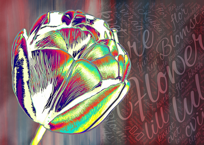 Flower 5 Tulip 1