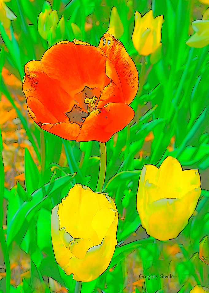 Etched Tulips 3