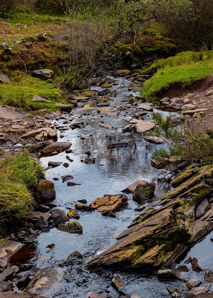 Creek