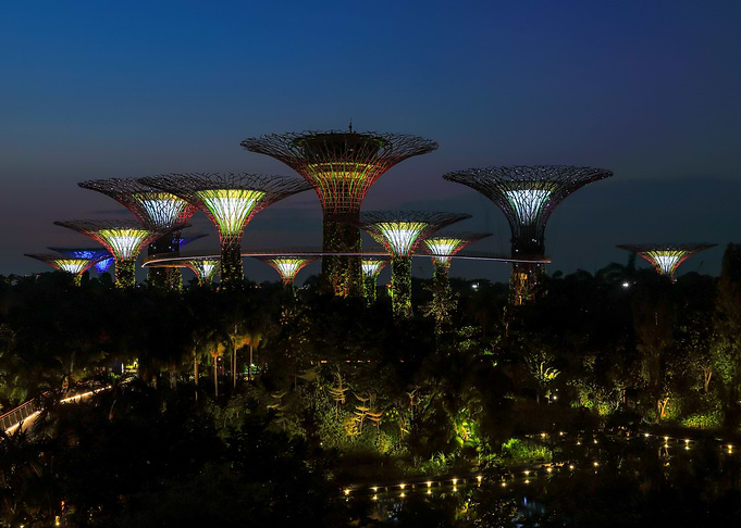 Supertrees