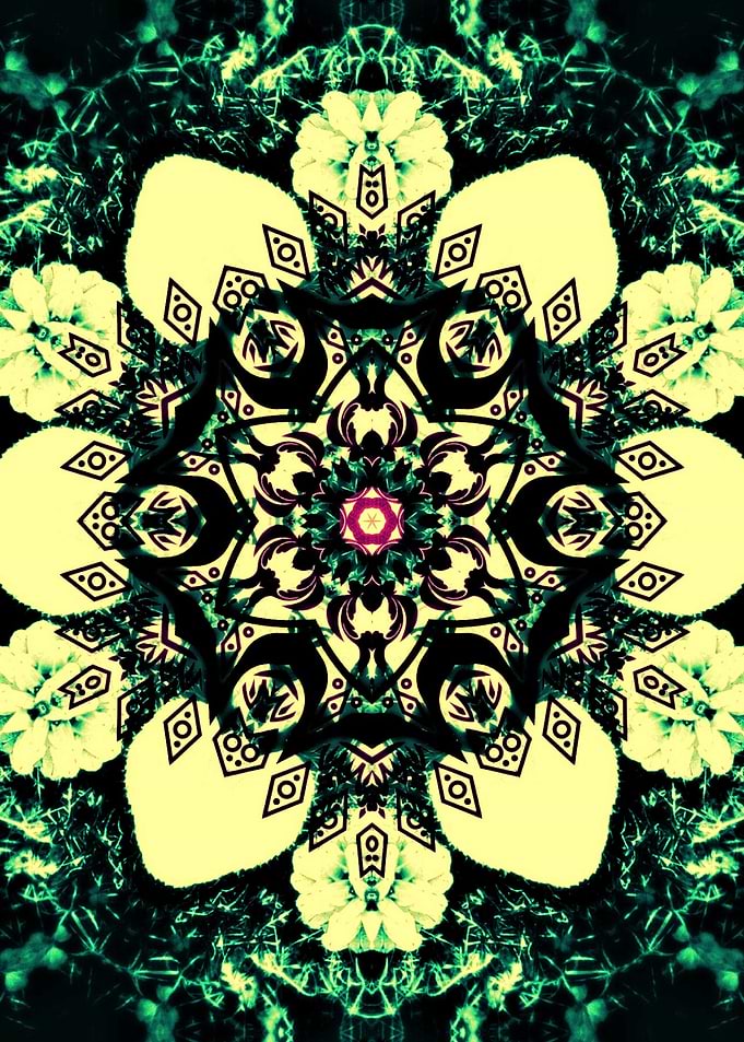 Visionary Mandala