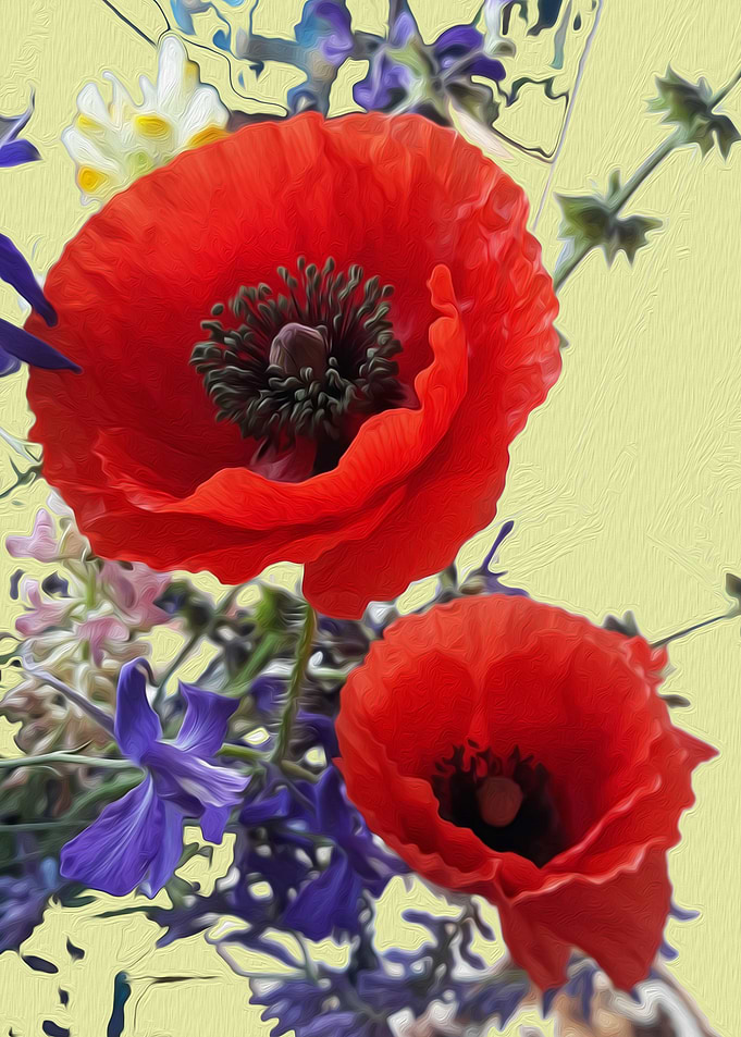 Poppy sunshine