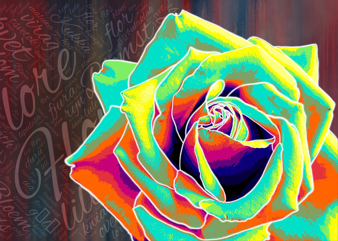 Flower 6 Rose 1