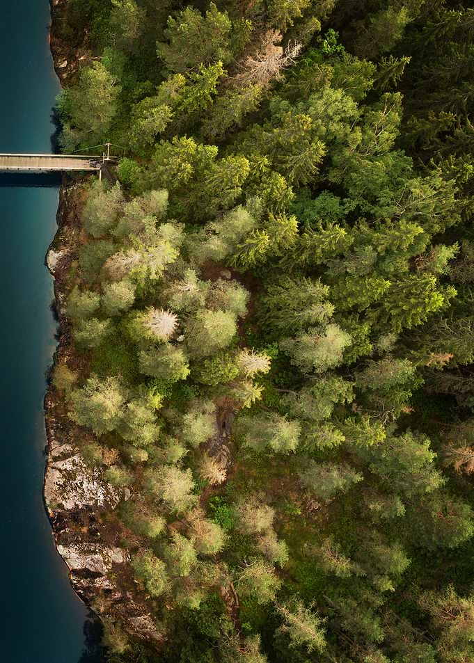 Bridge