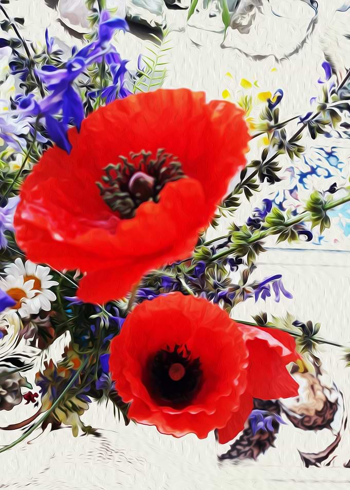 Poppy summer 2019