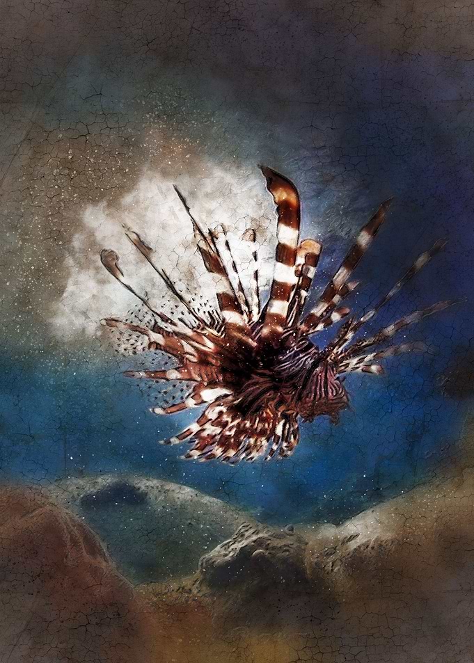 The lionfish