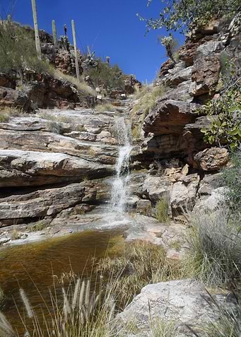 Canyon Reprieve